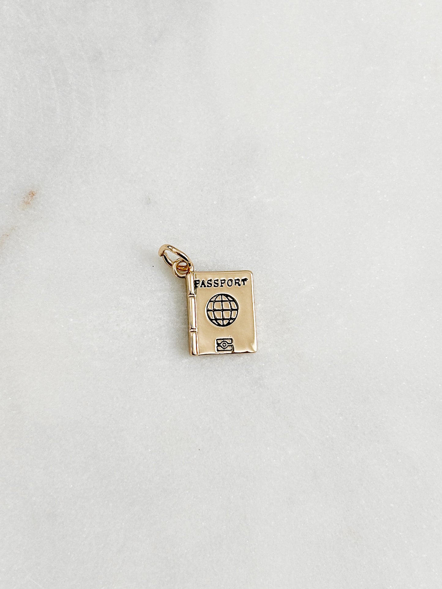 e-reader & phone USB charm / dust plug